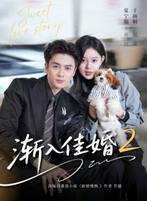 渐入佳婚2（103集）