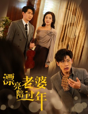 漂亮老婆陪过年（蛇年大吉之爱情事业双丰收）（60集）