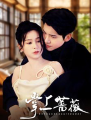 掌上蔷薇（46集）