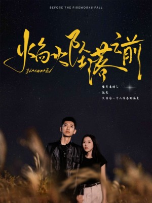焰火坠落之前（99集）