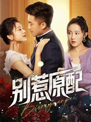 别惹原配（45集）