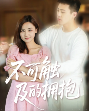 不可触及的拥抱 (40集) 