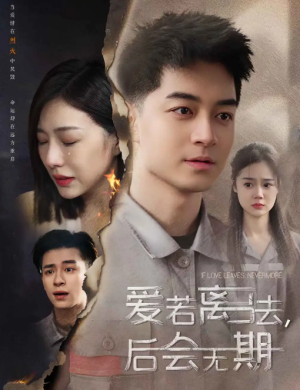 爱若离去（爱若离去，后会无期）爱若离去后会无期（70集）