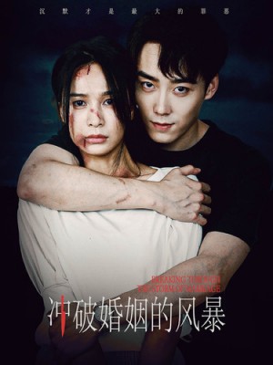 冲破婚姻的风暴(29集)