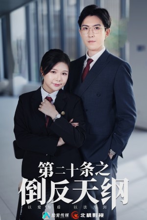 第二十条之倒反天纲（60集）