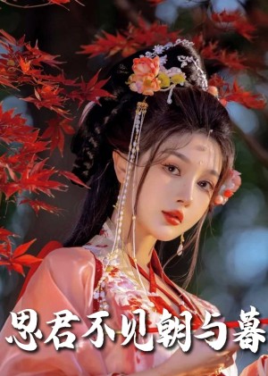 思君不见朝与暮（80集）