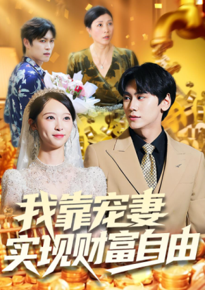 我靠宠妻实现财富自由（80集）