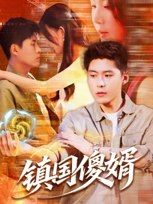 镇国傻婿（165集）