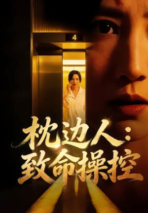 枕边人致命操控（48集）
