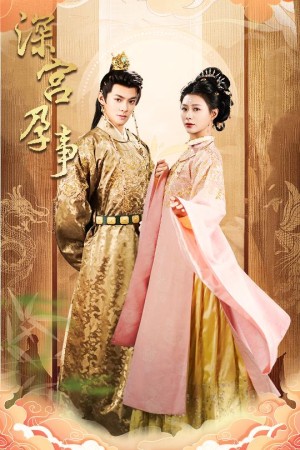 深宫孕事＆掌心娇（30集）