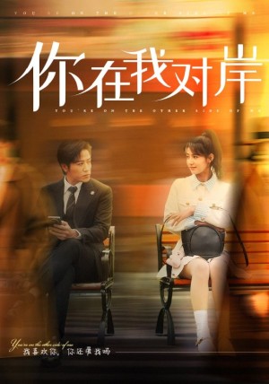 你在我对岸（31集）