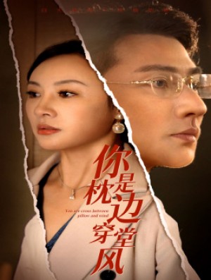 你是枕边穿堂风(78集)