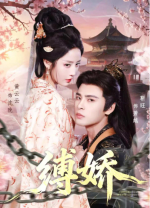 缚娇（82集）