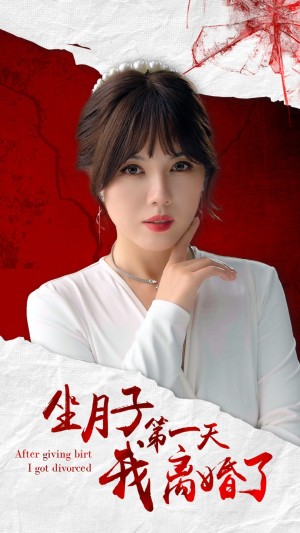 坐月子第一天我离婚了（30集）