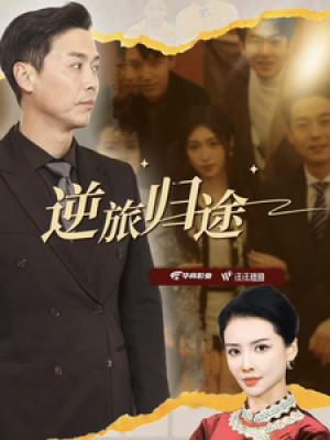 逆旅归途（56集）