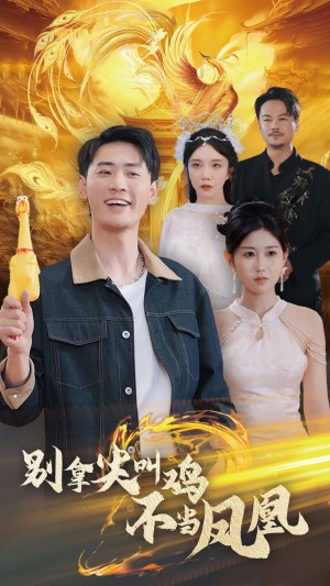 别拿尖叫鸡不当凤凰（35集）