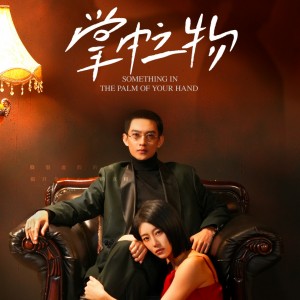 掌中之物（62集）
