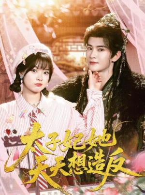 太子妃她天天想造反（89集）