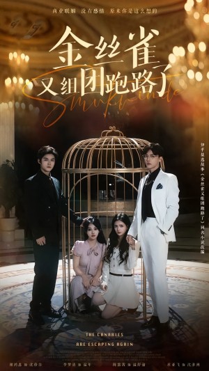 金丝雀又组团跑路了（长篇）