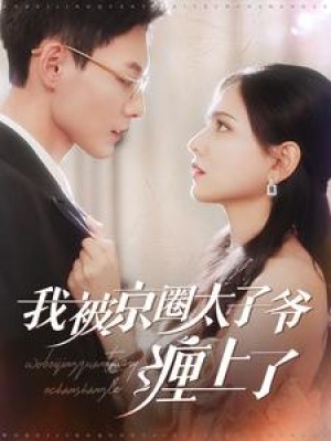 我被京圈太子爷缠上了（98集）