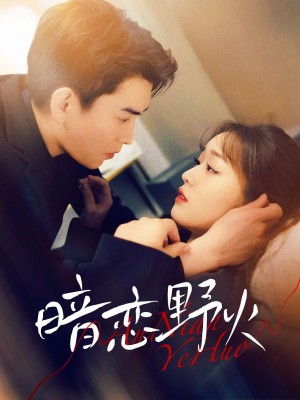 暗恋野火（75集）