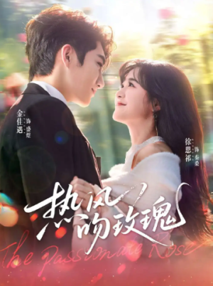 热风吻玫瑰（66集）