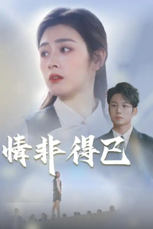 情非得已（30集）