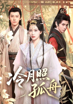 冷月照孤舟（77集）