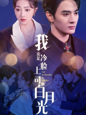 我竟是冷脸上司的白月光（80集）