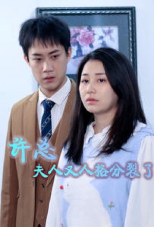 《许总夫人又人格分裂了(许总,夫人又人格分裂了)》(85集)