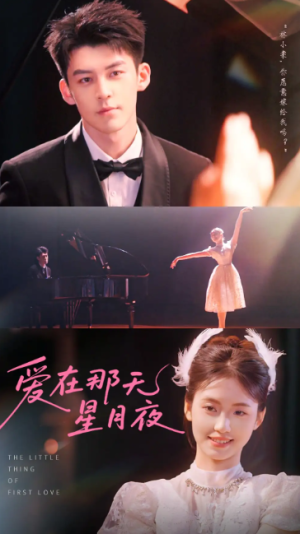 爱在那天星月夜（46集）