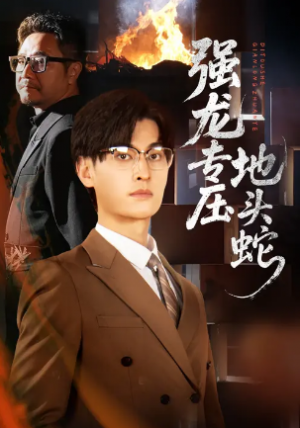 强龙专压地头蛇（62集）