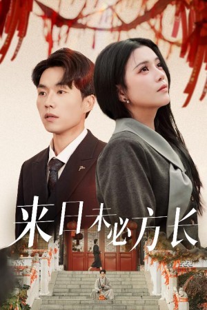 来日未必方长（29集）