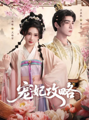 宠妃攻略（60集）