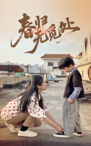 春归无觅处（46集）