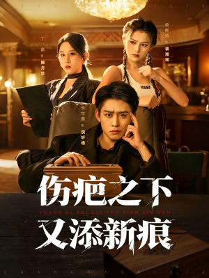 伤疤之下又添新痕（60集）