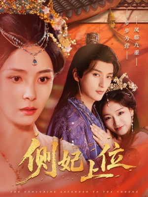 侧妃上位（80集）