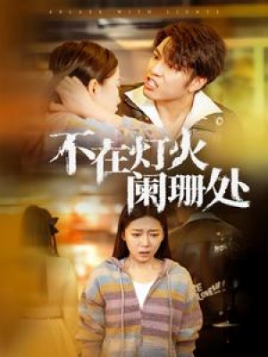 不在灯火阑珊处（55集）