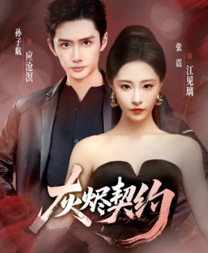 灰烬契约（58集）