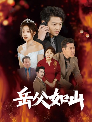 岳父如山（岳父的礼物）（30集）