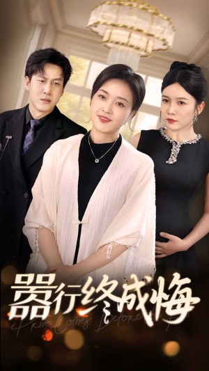 嚣行终成悔（33集）