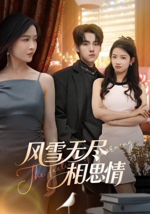 风雪无尽相思情（61集）