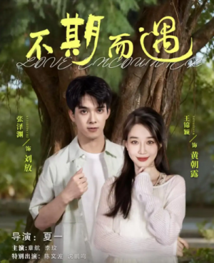 不期而遇（62集）