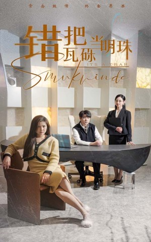 曦光映峥途（错把瓦砾当明珠）（55集）