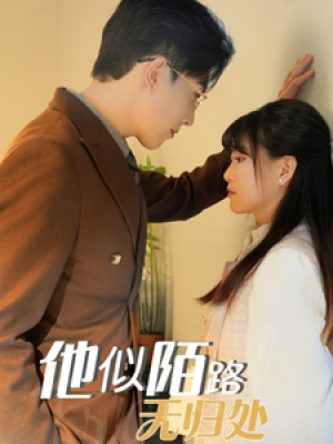 他似陌路无归处（30集）