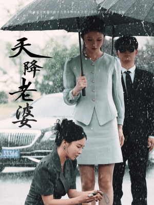 天降老婆（81集）