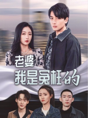 老婆我是冤枉的（31集）