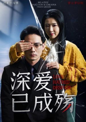 深爱已成殇（52集）