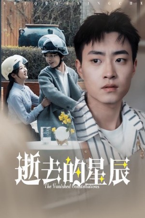 逝去的星辰（31集）