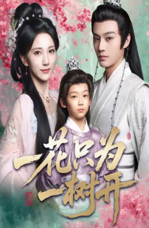 一花只为一树开（54集）